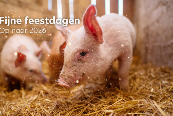 VERBA wenst je fijne feestdagen!